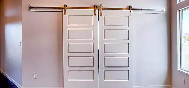 Glass Barn Door with Installation Hardware Kit Elkhart