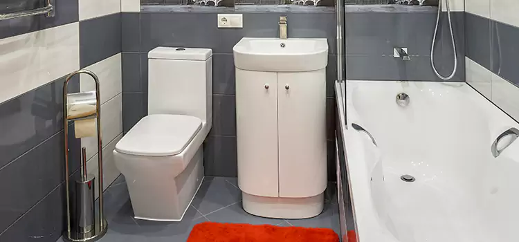 Hansgrohe Shaving Mirror Elkhart
